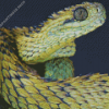 African Bush Viper Diamond Painting