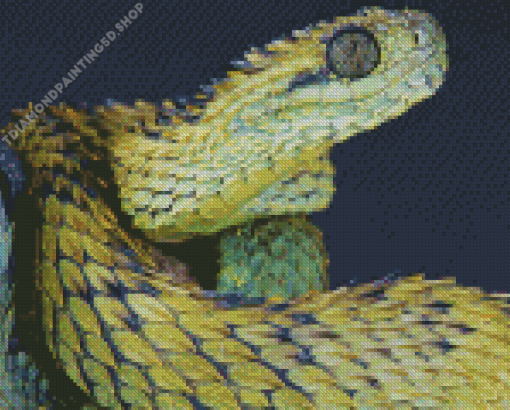 African Bush Viper Diamond Painting