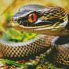 Black Pit Viper Diamond Painting