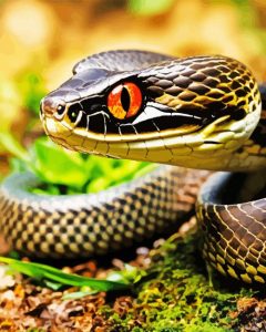 Black Pit Viper Diamond Painting