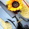 Violin With Sunflower Diamond Painting