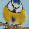 Blue Eurasian Diamond Painting