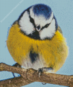 Blue Eurasian Diamond Painting