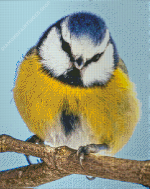 Blue Eurasian Diamond Painting