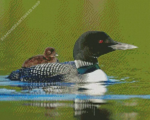 Common Loon Diamond Painting