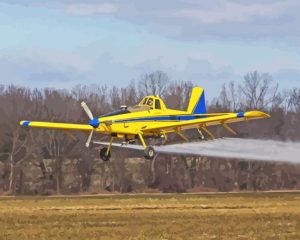 Crop Duster Diamond Painting