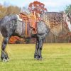 Friesian Horse Diamond Painting