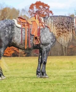 Friesian Horse Diamond Painting