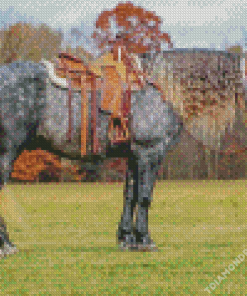Friesian Horse Diamond Painting
