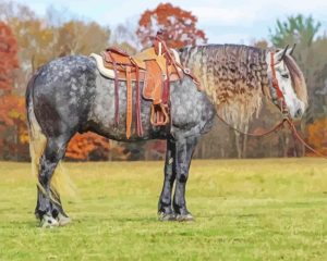 Friesian Horse Diamond Painting