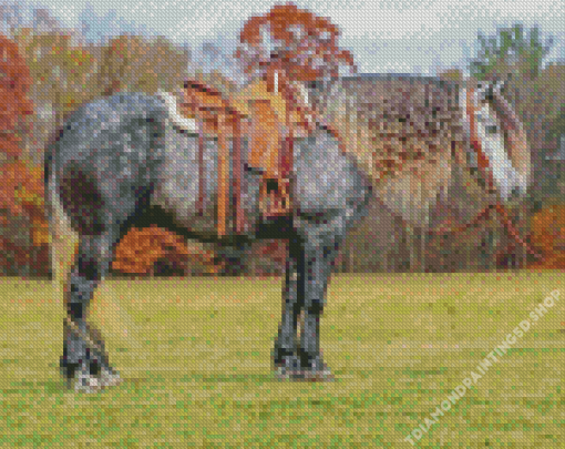 Friesian Horse Diamond Painting
