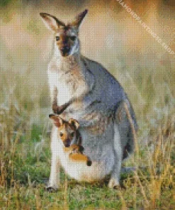 Kangaroo In A Pouch Diamond Painting