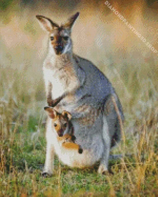 Kangaroo In A Pouch Diamond Painting