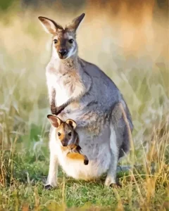 Kangaroo In A Pouch Diamond Painting