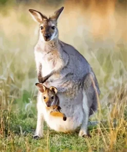 Kangaroo In A Pouch Diamond Painting
