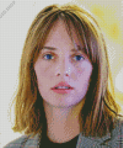 Maya Hawke Diamond Painting