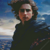 Paul Atreides Diamond Painting