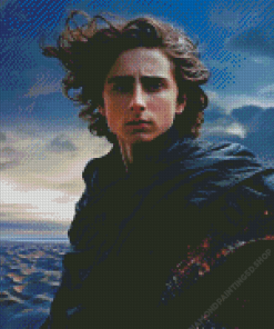 Paul Atreides Diamond Painting