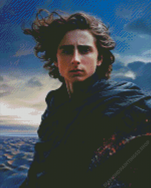 Paul Atreides Diamond Painting