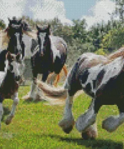 Vanner Horses Diamond Painting