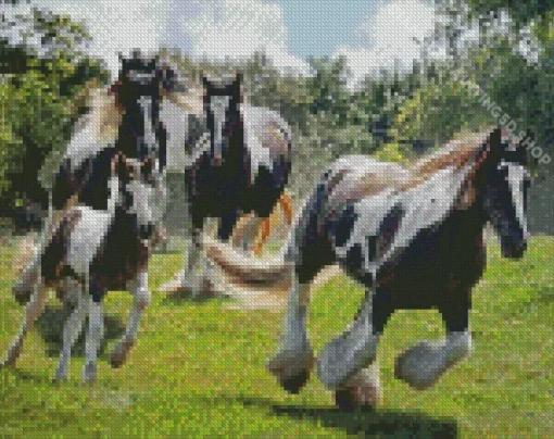 Vanner Horses Diamond Painting