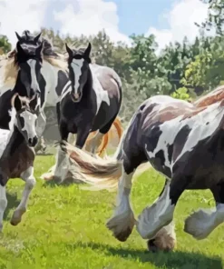 Vanner Horses Diamond Painting