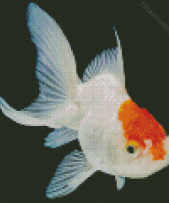 Oranda Goldfish Diamond Painting