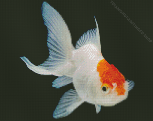 Oranda Goldfish Diamond Painting