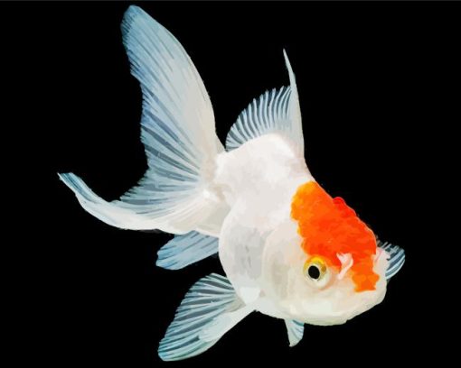 Oranda Goldfish Diamond Painting