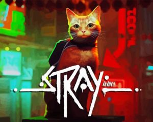 Stray Header Diamond Painting