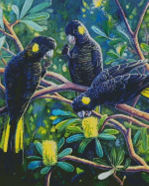 Black Cockatoos Diamond Painting