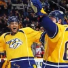 Nashville Predators Diamond Painting