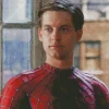 Spider Tobey Maguire Diamond Painting