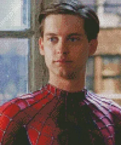 Spider Tobey Maguire Diamond Painting