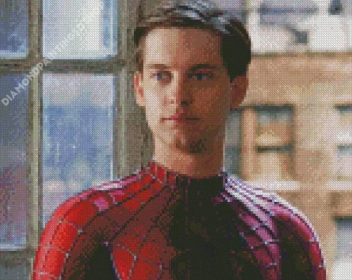 Spider Tobey Maguire Diamond Painting