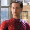Spider Tobey Maguire Diamond Painting