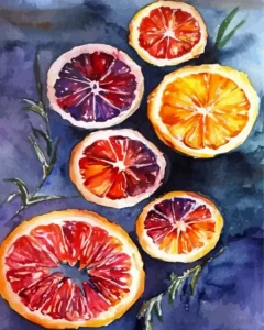 Blood Orange Art Diamond Painting
