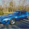 Aesthetic Firebird Blue Diamond Painting