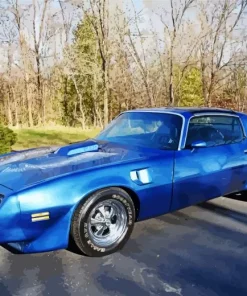 Aesthetic Firebird Blue Diamond Painting