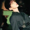 Bai Jingting Diamond Painting