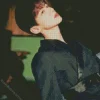Bai Jingting Diamond Painting