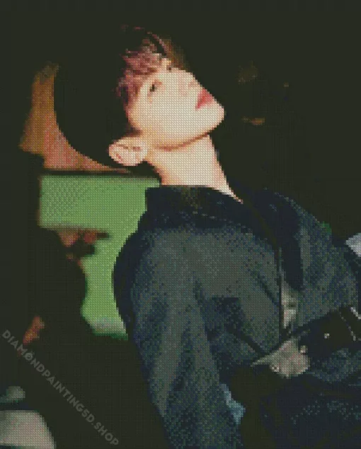 Bai Jingting Diamond Painting