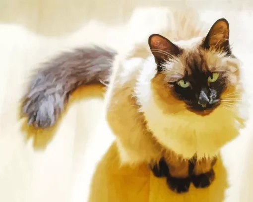 Balinese Cat Diamond Painting