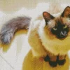Balinese Cat Diamond Painting