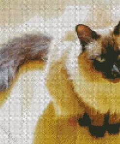 Balinese Cat Diamond Painting