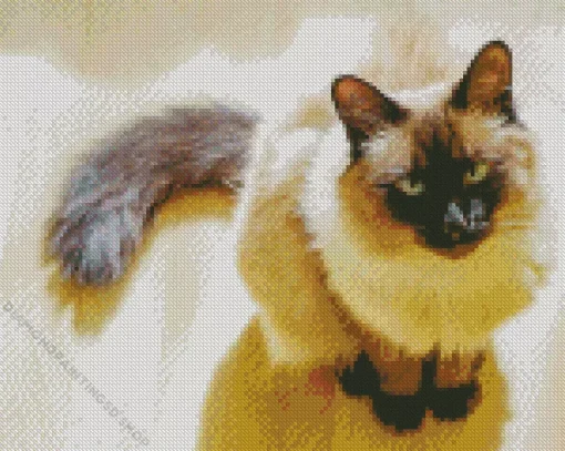 Balinese Cat Diamond Painting