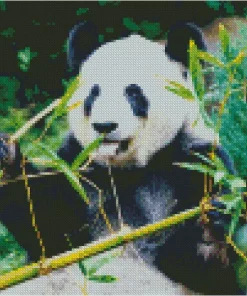 Bamboo Panda Diamond Painting