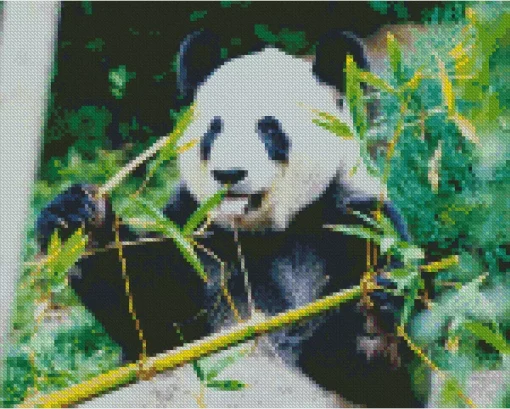 Bamboo Panda Diamond Painting