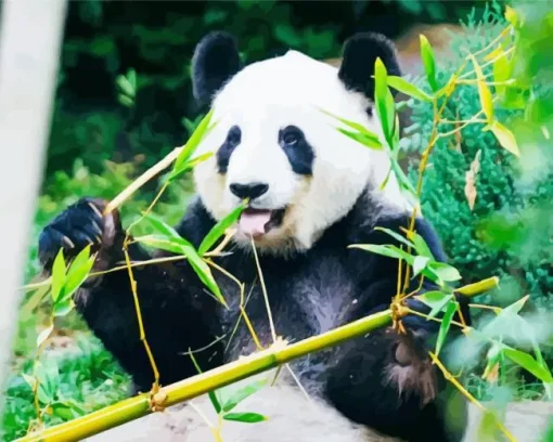 Bamboo Panda Diamond Painting