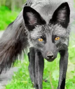 Black Fox Diamond Painting
